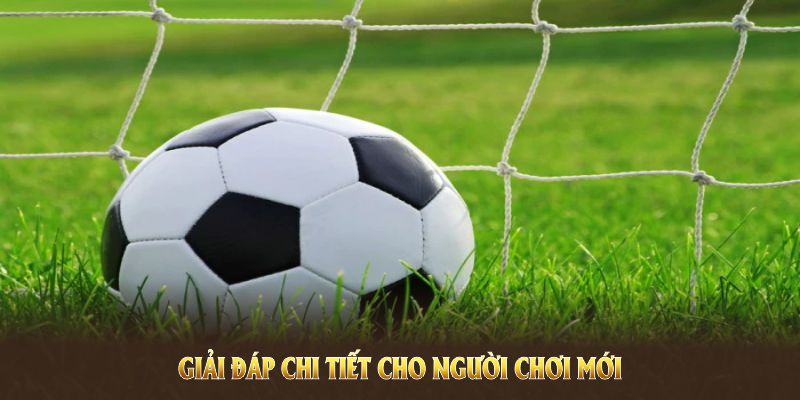 Kèo rung là gì? – khái niệm cơ bản cần biết