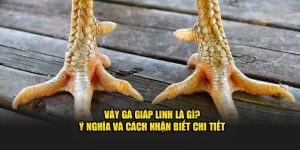 Vảy gà giáp linh C168